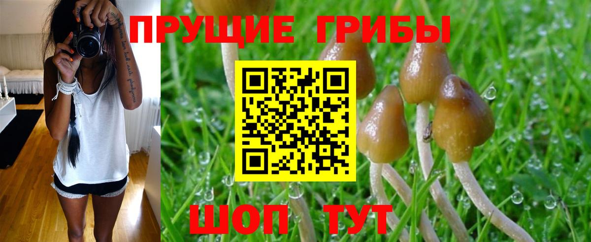 Псилоцибиновые грибы GOLDEN TEACHER  Вход с VPN  Обь 