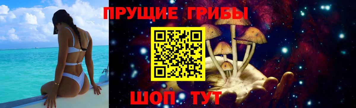Галлюциногенные грибы GOLDEN TEACHER Обь